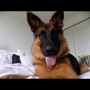 Meet your Posher, Lauren